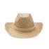 Cowboyhoed van stro - beige