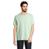 LEGEND T-shirt Organic 175g - Frozen Green