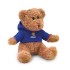 Teddybeer met sweatshirt